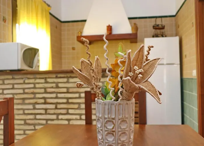 Chaparrillo Conil Chalet *